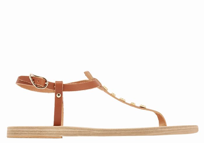 Sandales Bride Arrière Ancient Greek Sandals Lito Bee   | ETI-5445901